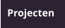 Projecten